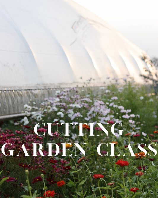Cutting Garden Class with Crowley House Flower Farm and Wavra Nursery